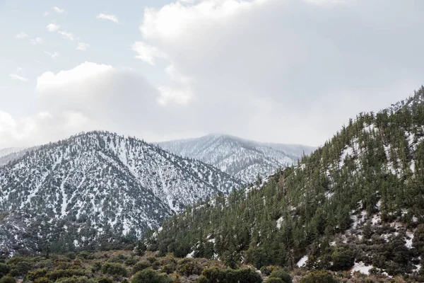 Montagne Brillano Sotto Cielo Nuvoloso Nella Foresta Nazionale Angeles California — Foto Stock