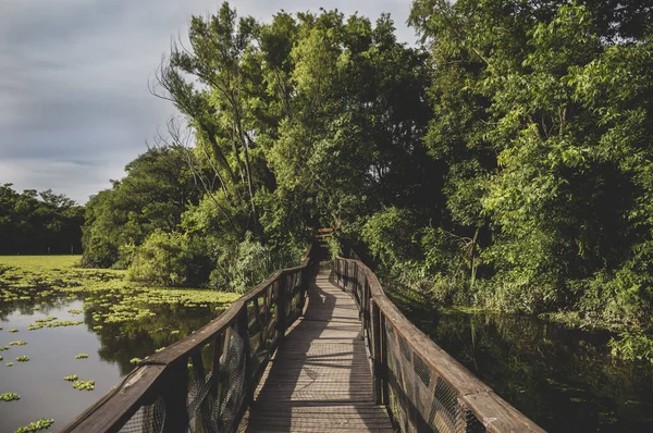 Wooden Bridge Green Reserve — Stock Photo, Image