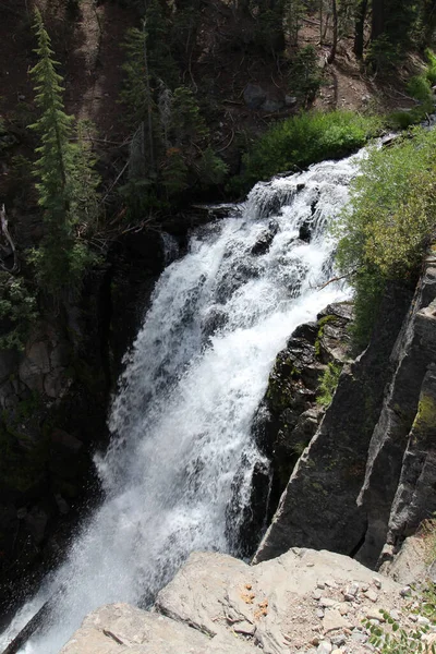 Eine Vertikale Aufnahme Eines Niedrigen Wasserfalls Mit Weißem Schaum Wald — Stockfoto