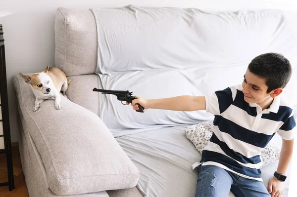 Ragazzo Caucasico Punta Sua Pistola Giocattolo Suo Cane Mentre Seduto — Foto Stock