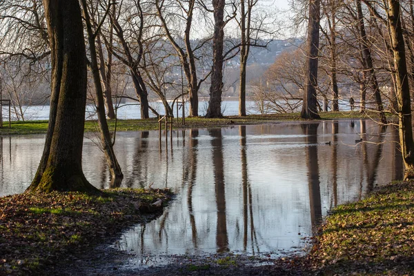 Ein Überfluteter Park Bei Flut Des Rheins Hintergrund Mit Reflexionen — Stockfoto