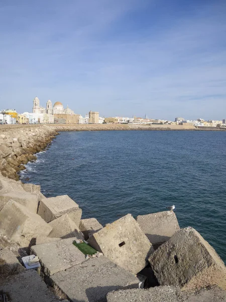 Вертикальный Снимок Кадисского Собора Береговой Линии Кадисе Испания — стоковое фото
