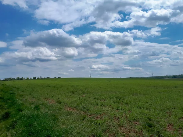 Krásný Záběr Pole Pozadí Modré Oblohy — Stock fotografie