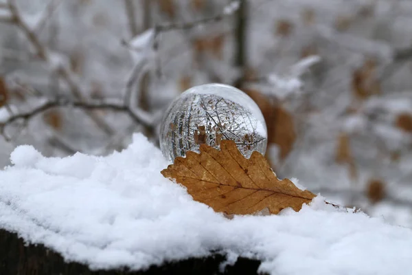 Zbliżenie Ujęcia Zimowego Lasu Przez Przezroczystą Szklaną Kulę — Zdjęcie stockowe