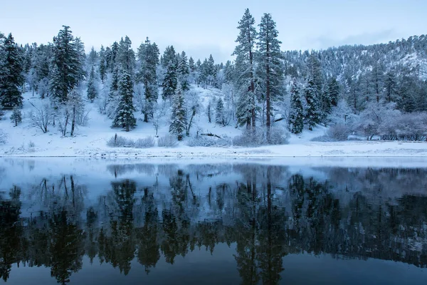 Řeka Obklopená Lesem Pokrytým Sněhem Národním Lese Los Angeles Kalifornie — Stock fotografie