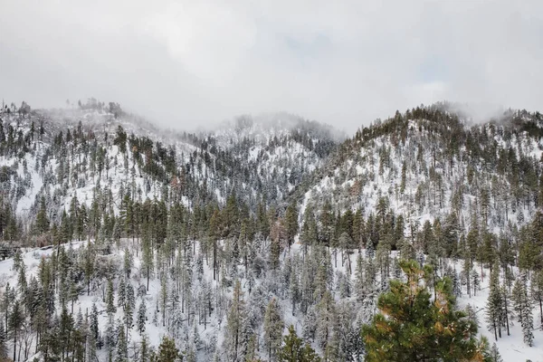 Die Grünen Und Nebelbedeckten Berge Angeles National Forest Kalifornien — Stockfoto