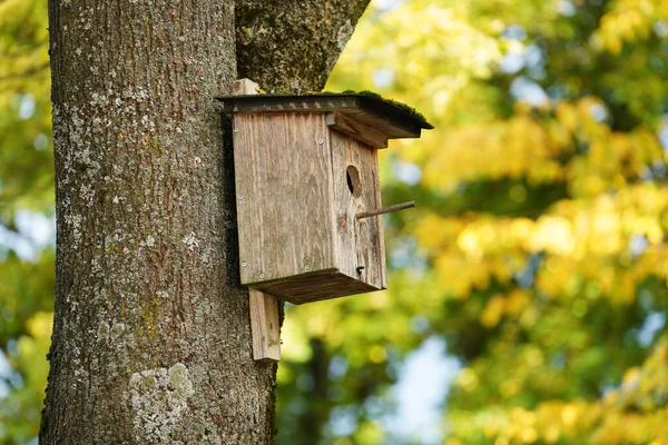 Ağaç Gövdesindeki Ahşap Bir Kuş Evinin Seçici Odak Noktası — Stok fotoğraf