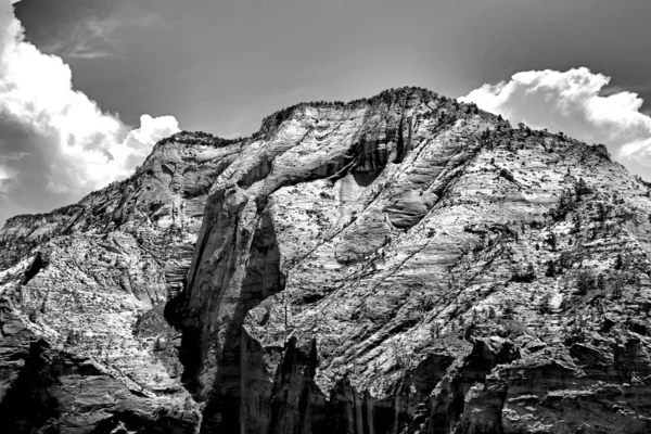 Een Grijswaarden Shot Van Afgronden Zion National Park Springdale Usa — Stockfoto