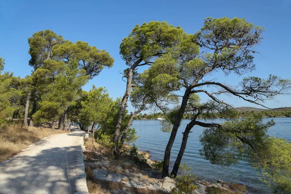 Egy Sétaút Partján Csatorna Ante Közelében Sibenik Horvátországban — Stock Fotó