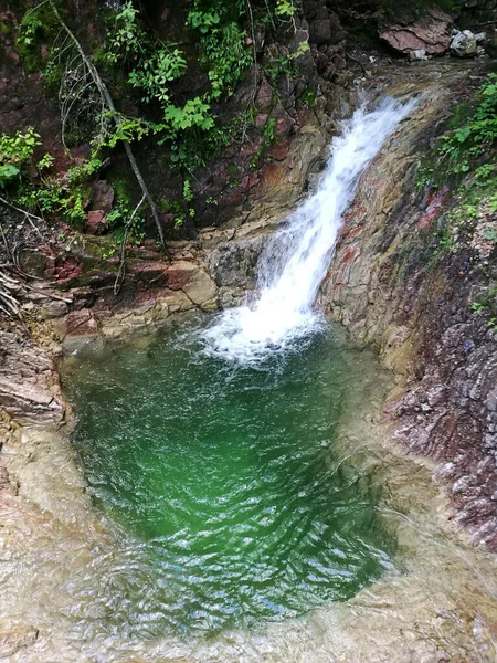 Uma Vista Uma Pequena Cascata Cristalina Meio Uma Floresta — Fotografia de Stock