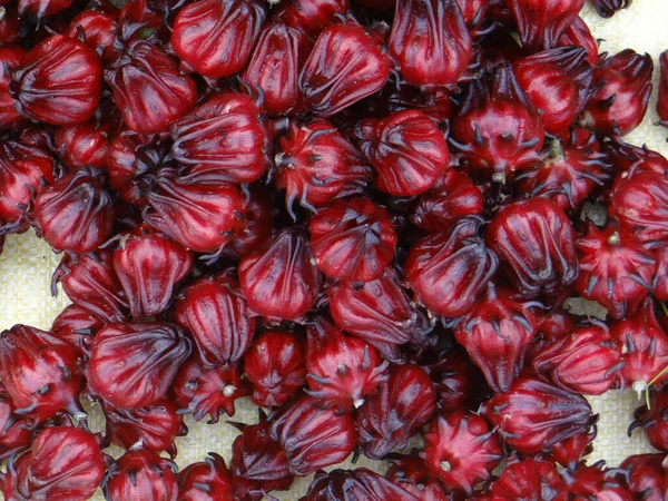 Een Top Uitzicht Van Hibiscus Sabdariffa Roselle Vruchten — Stockfoto