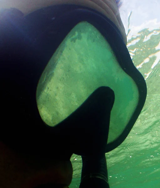 Beautiful Shot Taken Underwater Diving Ocean — Stock Photo, Image