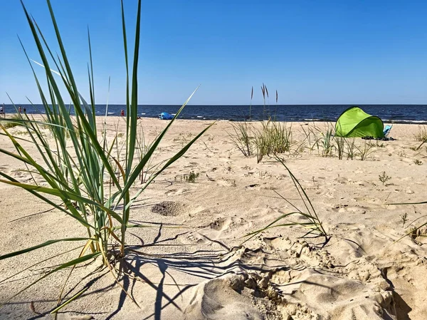 Tenda Verde Praia Mar Báltico Dia Verão — Fotografia de Stock