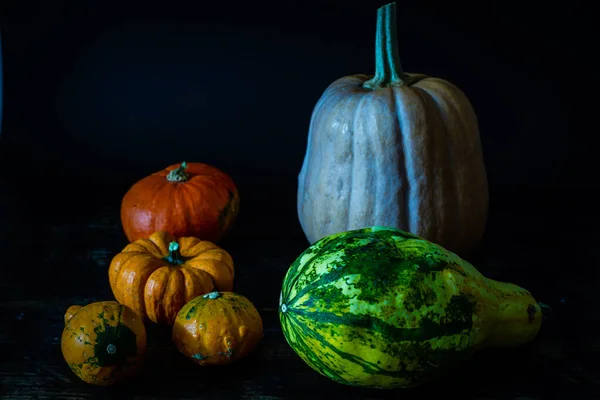 Plan Angle Élevé Diverses Courges — Photo