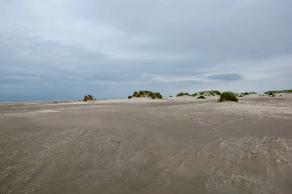 Almanya Borkum Kumlu Bir Plaj — Stok fotoğraf