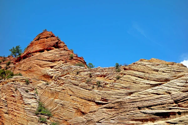 Rote Felsen Zion National Park Springdale Usa — Stockfoto