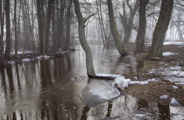 Vorfrühling Überflutete Fluss Mit Dem Letzten Schmelzenden Schnee Und Eis — Stockfoto