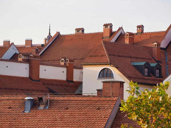 Roze Gebouwen Met Bruine Daken Onder Bewolkte Hemel — Stockfoto