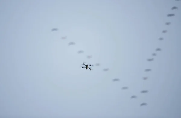 Moderno Dron Uav Vuelo Con Fondo Borroso Formación Bandadas Migratorias —  Fotos de Stock