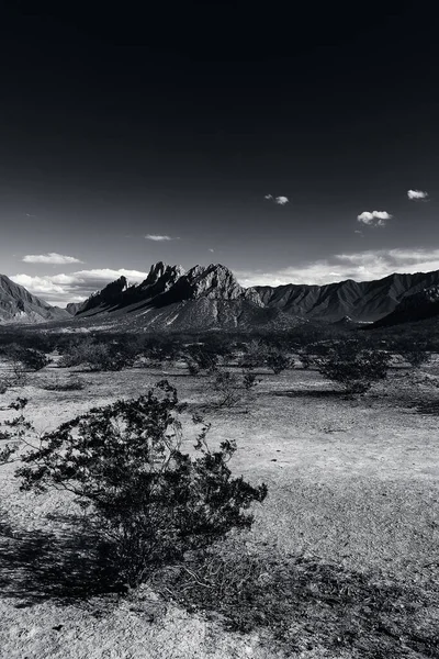 Ένα Γκρίζο Πλάνο Ενός Τοπίου Βουνά — Φωτογραφία Αρχείου