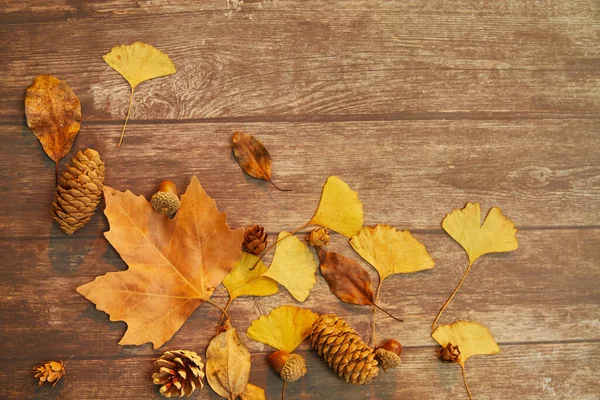 Primo Piano Foglie Autunnali Coni Conifera Sfondo Legno — Foto Stock