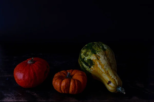 Gros Plan Diverses Courges — Photo