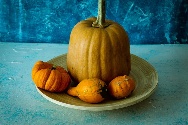 Tiro Ángulo Alto Varias Calabazas — Foto de Stock