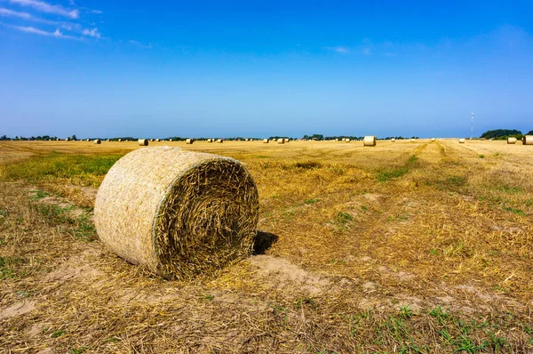 Primer Plano Una Bala Heno Campo Seco Cálido Día Verano — Foto de Stock