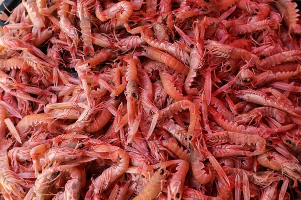 Gros Plan Crevette Bouillie Dans Marché Aux Poissons — Photo