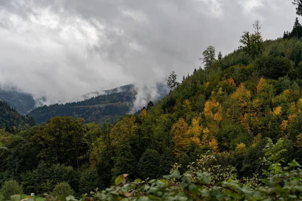 Almanya Daki Kara Orman Dağların Üzerinde Yoğun Sis Var — Stok fotoğraf