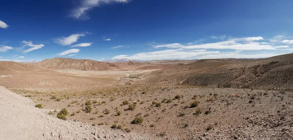 Una Hermosa Vista Una Zona Desértica Con Arbustos Bajo Cielo —  Fotos de Stock