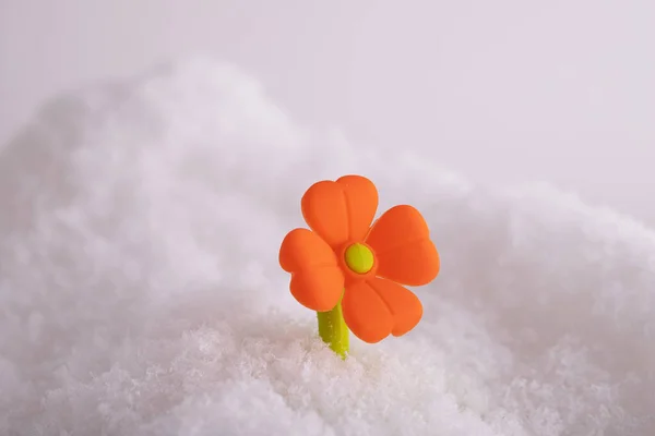 雪地上一朵小小的装饰花的特写 — 图库照片