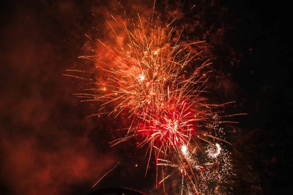 Los Fuegos Artificiales Colores Cielo Nocturno —  Fotos de Stock