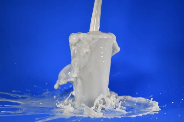 Shot Splashing Milk Cup — Stock Photo, Image