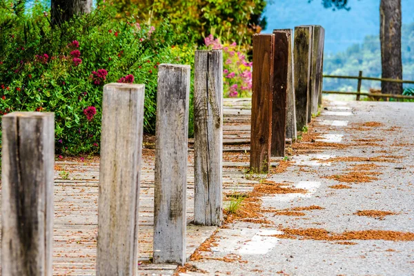 Ahşap Kütüklerle Kaplı Bir Yol — Stok fotoğraf