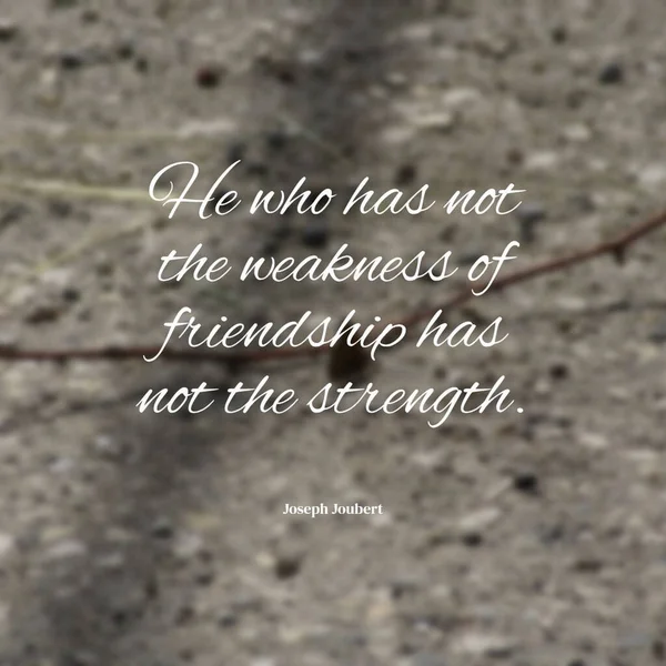 Citação Aquele Que Não Tem Fraqueza Amizade Não Tem Força — Fotografia de Stock