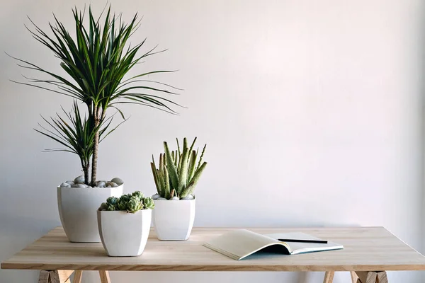 テーブルの上に鉢植えのクローズアップショット — ストック写真