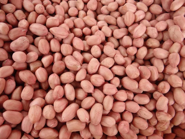 Uma Macro Amendoins Vermelhos — Fotografia de Stock