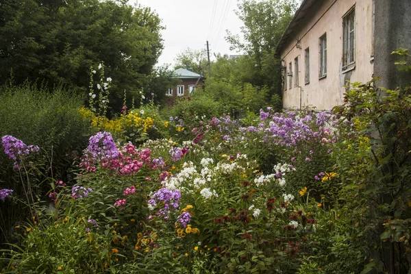 Старі Будинки Оточені Деревами Квітами Денний Час Місті Кострома Росія — стокове фото