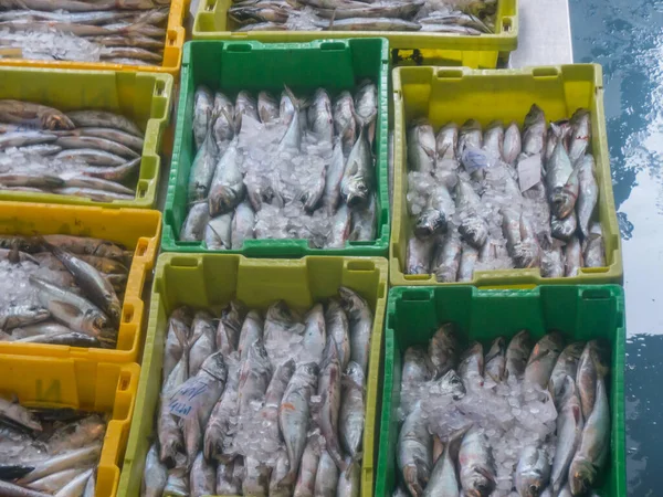 Variety Fish Plastic Boxes Fish Auction Spain — Stock Photo, Image