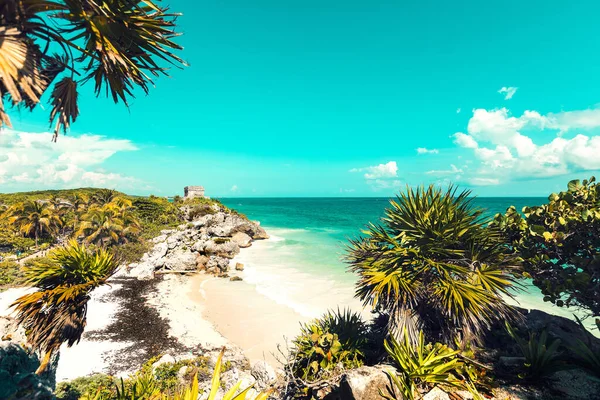 Una Playa Con Palmeras Tropicales Durante Día — Foto de Stock