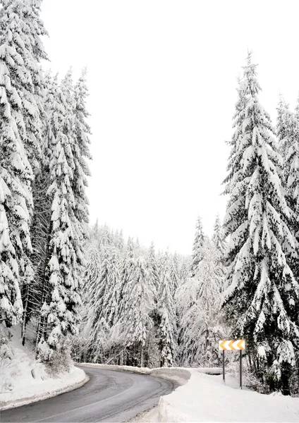 Pionowe Ujęcie Drogi Śnieżne Świerki Pięknym Zimowym Lesie — Zdjęcie stockowe