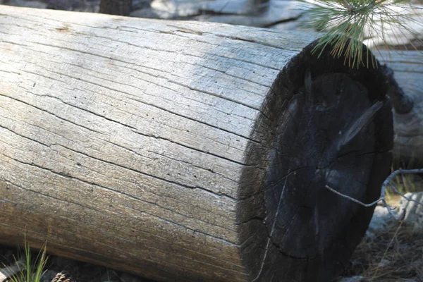 一张生锈的木头圆木的特写照片 — 图库照片