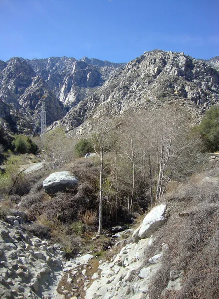 Amerika Daki Tramway Palm Dağlık Manzarasının Güzel Bir Manzarası — Stok fotoğraf