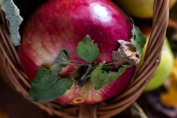 Eine Draufsicht Auf Einen Großen Roten Apfel Einem Braunen Korb — Stockfoto