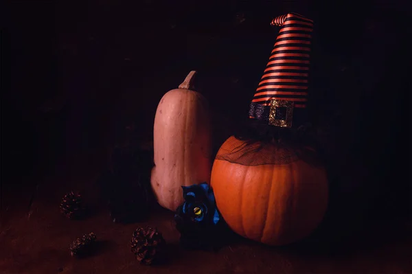Een Close Van Twee Halloween Pompoenen Met Een Heksenhoed Een — Stockfoto