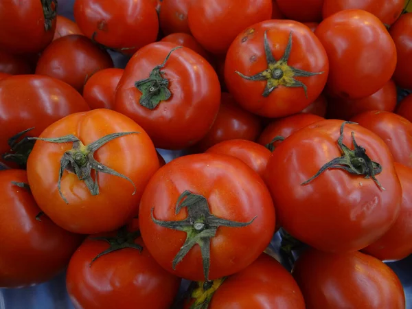 A closeup shot of tomatoes in the farmers market