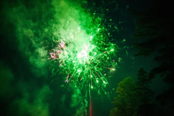 Het Felgroene Vuurwerk Aan Nachtelijke Hemel — Stockfoto