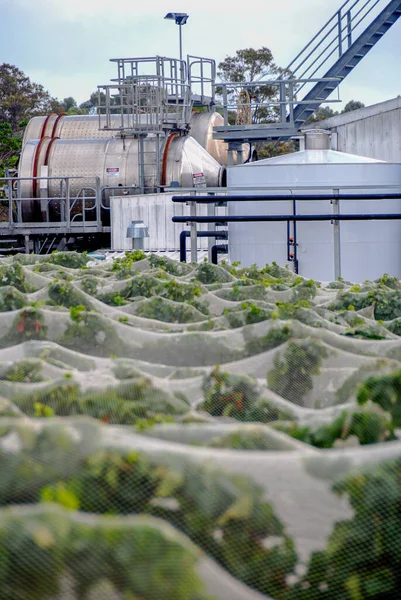 Eine Vertikale Aufnahme Von Industriebauten Weinberg — Stockfoto