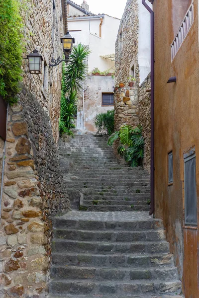 カタルーニャ州ペレタラーダの通りにある古代の伝統的な石造りの家の垂直ショット — ストック写真